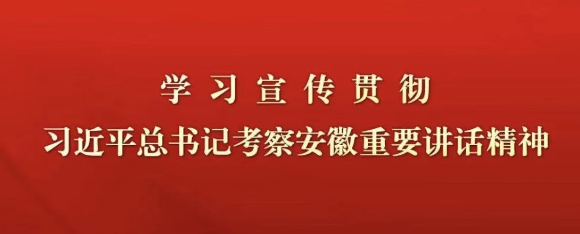 团县委专题学习习近平总书记考察